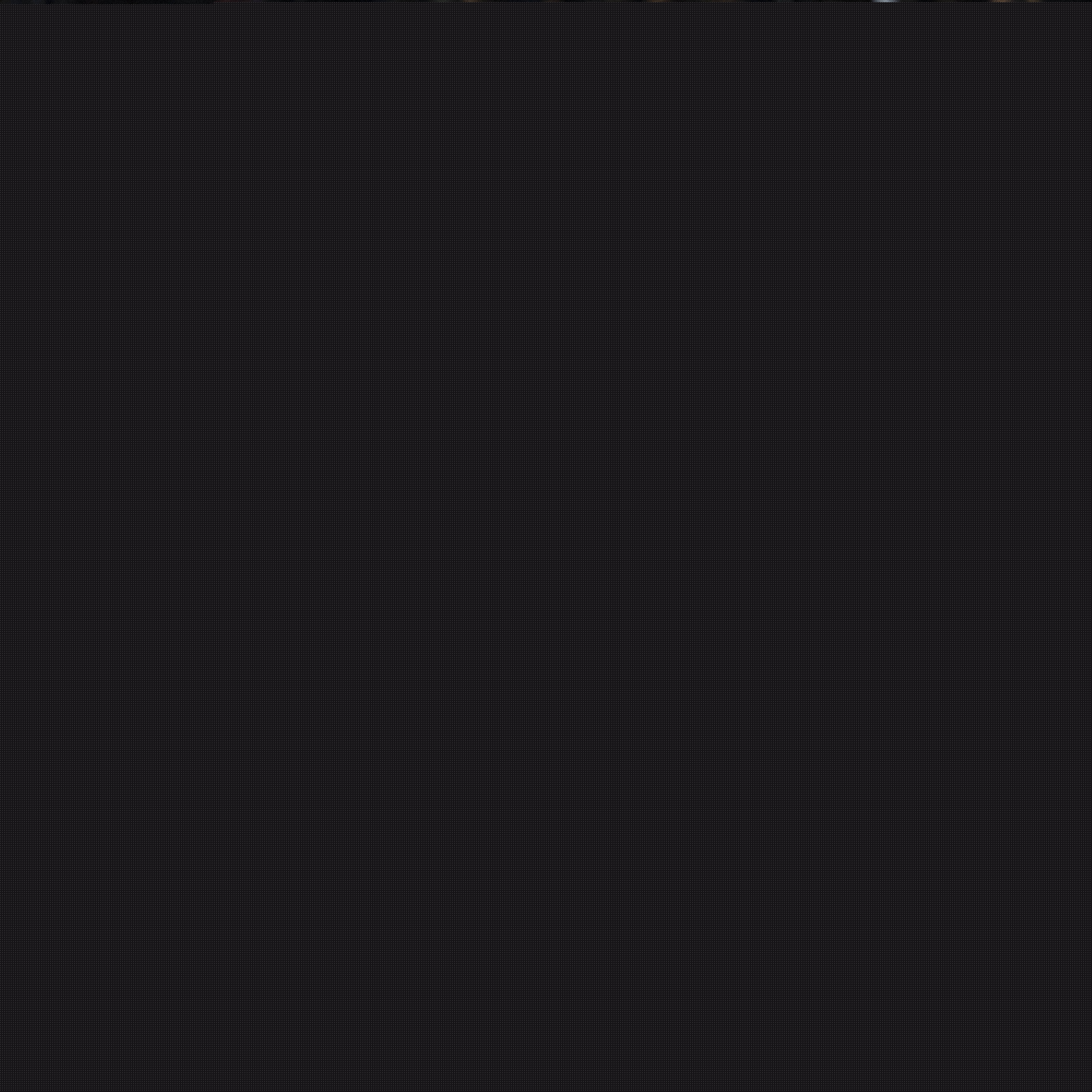 不仅是球员